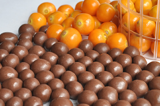 Uchuva Pasa cubierta de Chocolate Leche al 34%