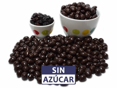 Dark Chocolate Sugar Free Covered Raisins