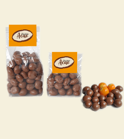 Milk Chocolate Covered dried golden berry produl