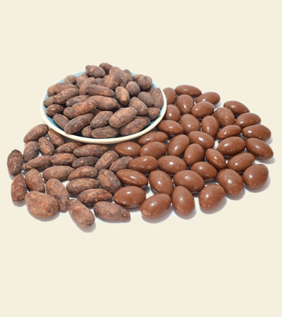 Granos de Cacao cubiertos de Chocolate Leche al 34% produl