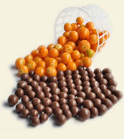 Uchuva Pasa cubierta de Chocolate Leche al 34% produl